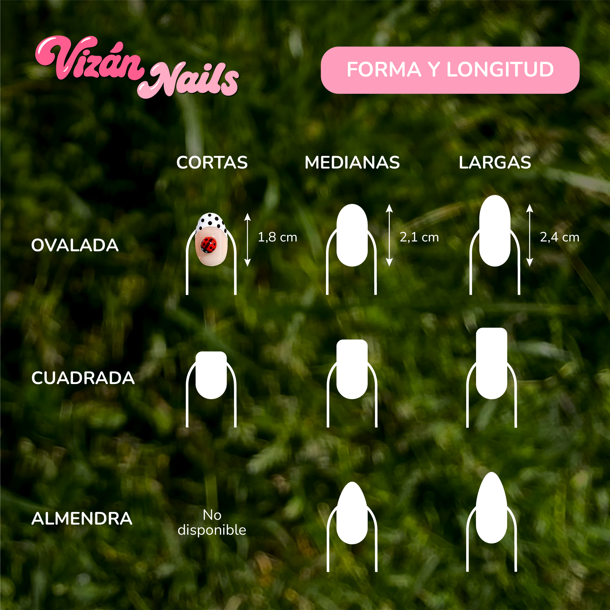 Polka Spring